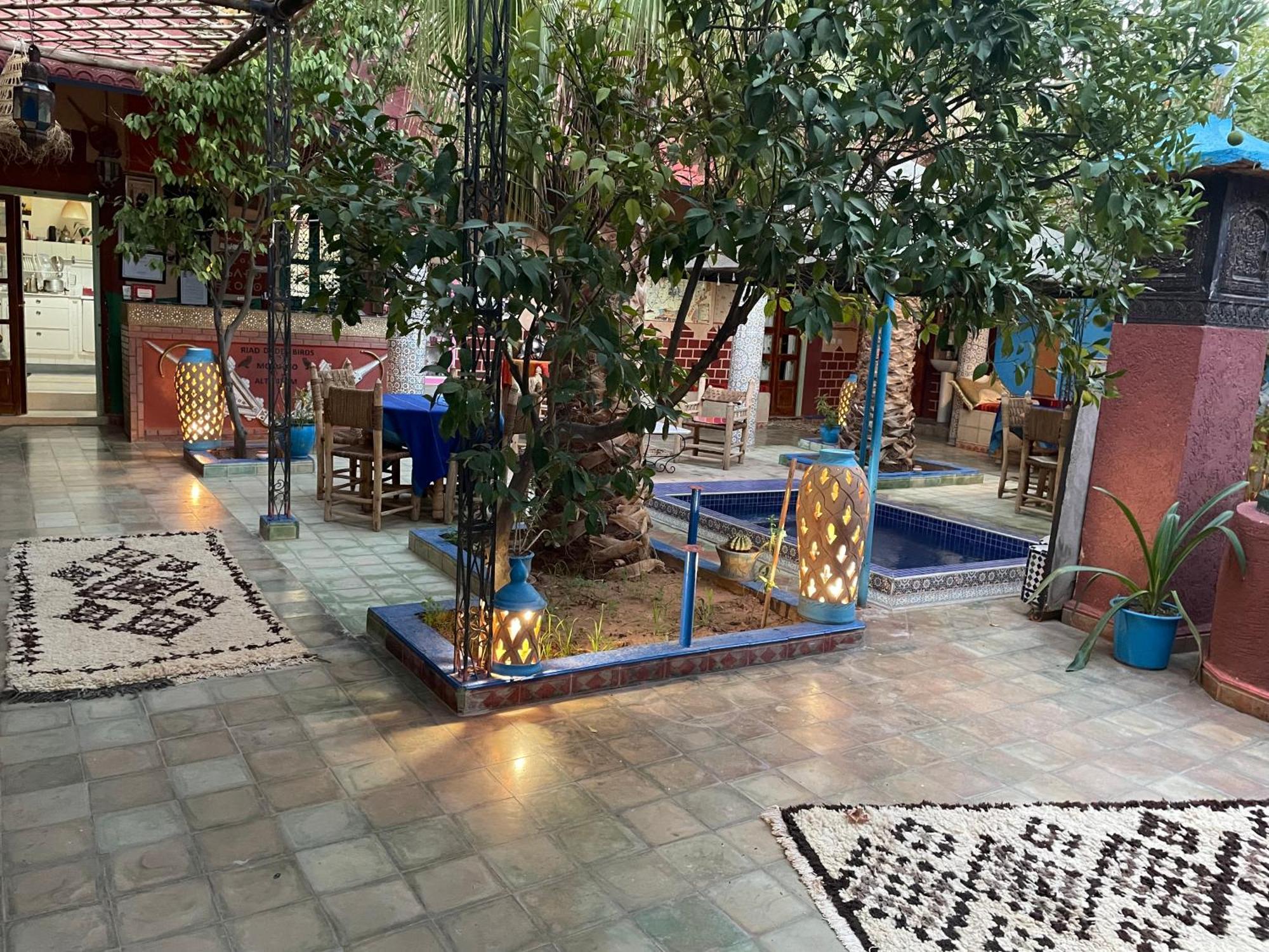 بيت ضيافة Dades Birds Boumalne