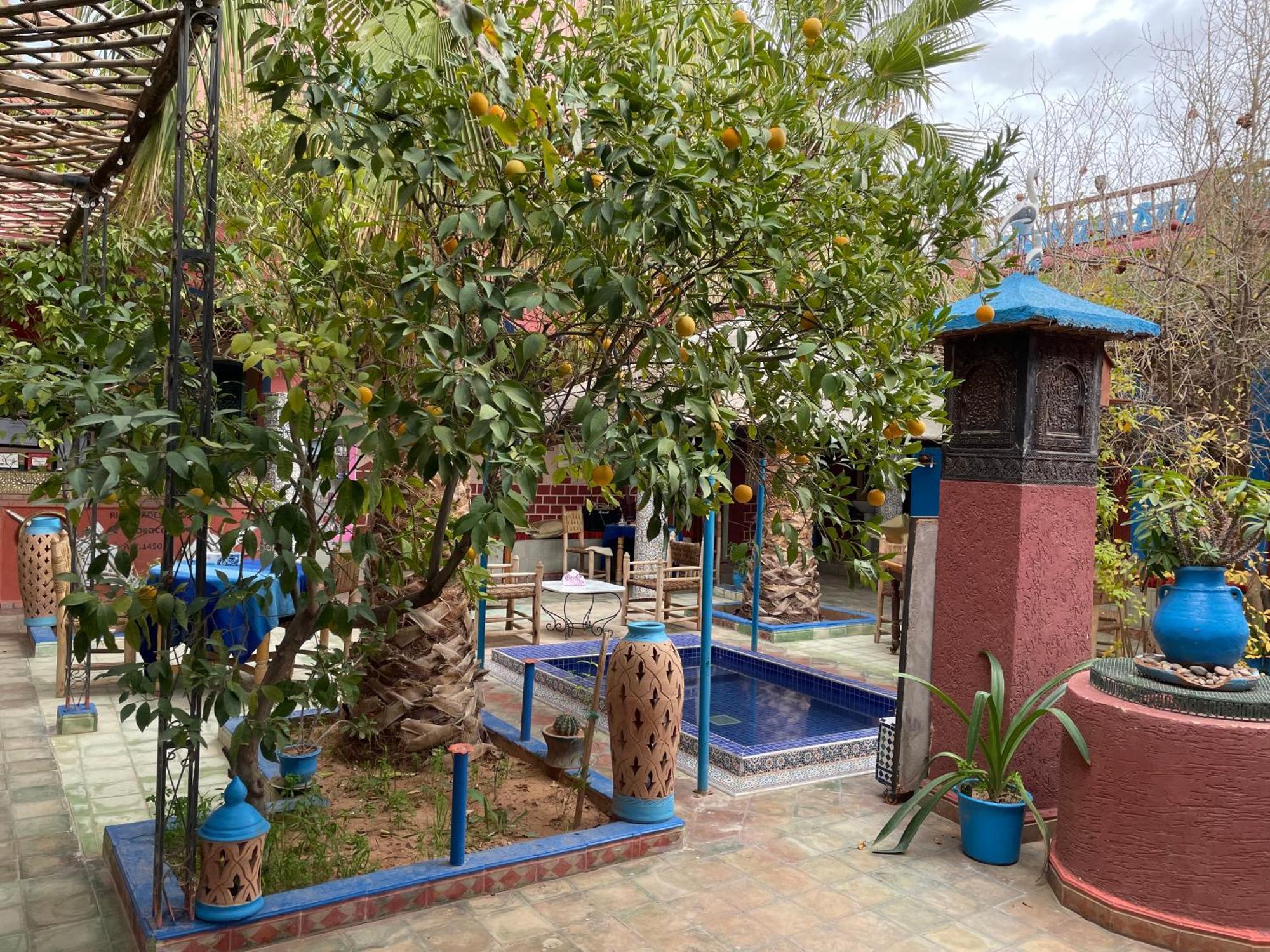 Dades Birds بيت ضيافة